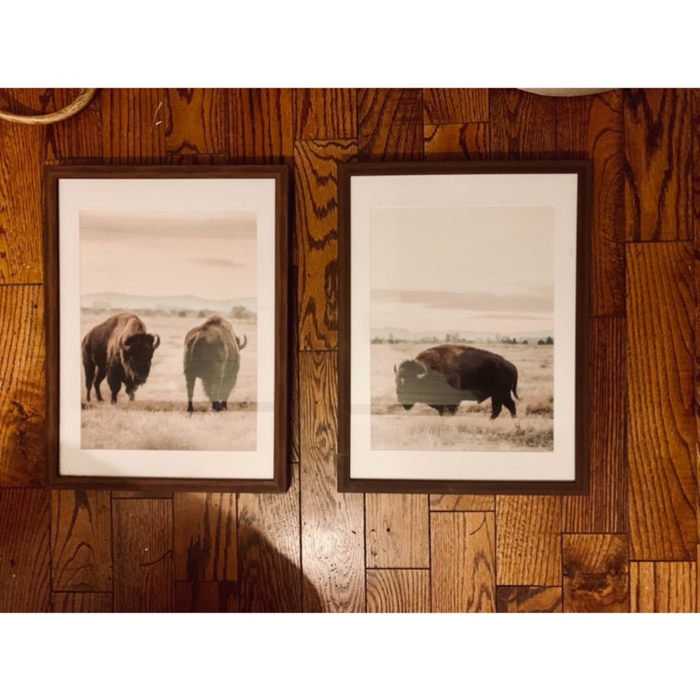 12x16 buffalo prints